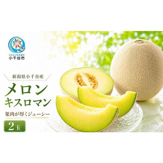 ふるさと納税 メロン メロン青肉 新潟県 小千谷市 新潟県小千谷産 ジューシー キスロマン 約2kg 2玉 ( 8月上旬発送予定 ) すっきり 甘い 旬 果肉 専門店 令和8…
