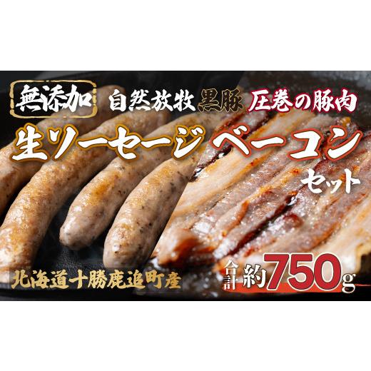 ふるさと納税 豚肉 セット 北海道 鹿追町 定期2ヶ月 鹿追産 自然放牧圧巻の黒豚 無添加ベーコン&無添加ソーセージ ふるさと納税 人気 おすすめ ランキング …
