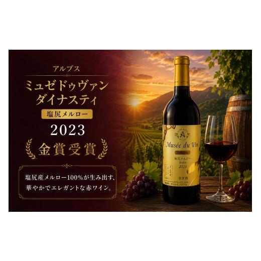 ふるさと納税 ワイン 赤ワイン 長野県 塩尻市 チョイス限定 アルプス ミュゼドゥヴァン ダイナスティ 塩尻メルロー 2023 金賞受賞ワイン | ワイン わいん チ…