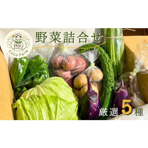 ふるさと納税 セット・詰合せ 大阪府 河内長野市 野菜詰合せ 厳選5種 夏野菜 野菜 やさい 新鮮 たっぷり 旬 旬の野菜 野菜セット おまかせ クール 夏 河内長…