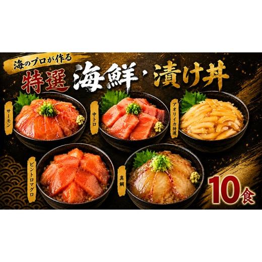 ふるさと納税 魚貝類 高知県 室戸市 特選 漬け丼 80g×10パック 計800g 厳選 5種類 10食 セット 真鯛 タイ サーモン マグロ 天然 本鮪 本マグロ 中トロ ビンチ…