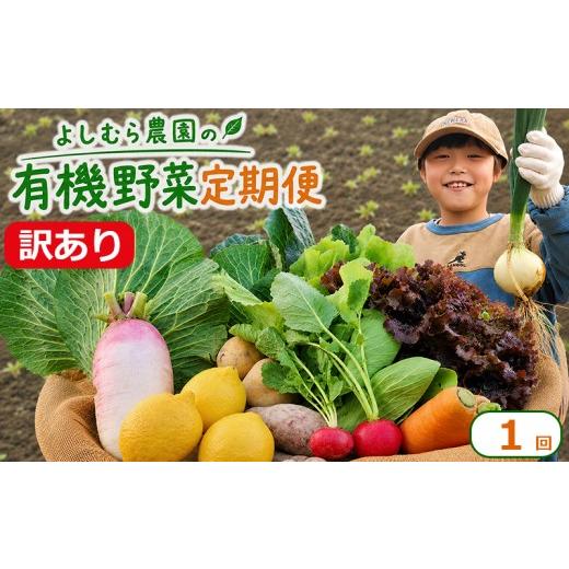 ふるさと納税 セット・詰合せ 香川県 丸亀市 訳あり 野菜 詰め合わせ 6種 よしむら農園 オーガニック 有機 有機野菜 やさい ベジタブル おまかせ セット 一人…