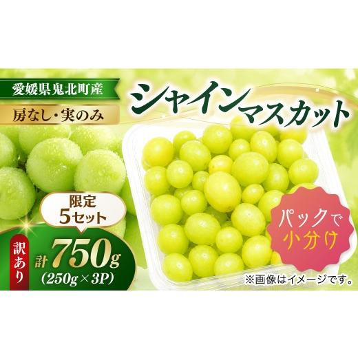 ふるさと納税 ぶどう マスカット 愛媛県 鬼北町 訳あり 限定5個 数量限定 愛媛県鬼北町産 シャインマスカット 粒タイプ 計750g(250g×3パック)|家庭用 小分…