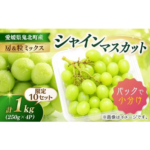 ふるさと納税 ぶどう マスカット 愛媛県 鬼北町 限定10個 数量限定 愛媛県鬼北町産 シャインマスカット 房&粒ミックス 計1kg(250g×4パック)|家庭用 小分…