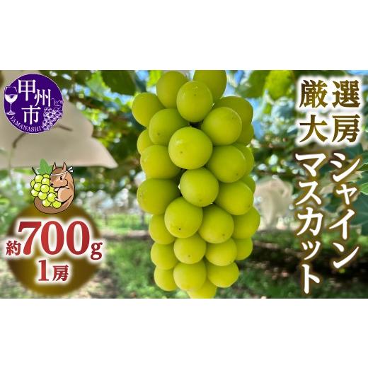 ふるさと納税 ぶどう マスカット 山梨県 甲州市 厳選大房シャインマスカット 1房 約700g 2026年発送 (SSE)C2-1840-1 シャインマスカット 葡萄 ぶどう ブドウ…