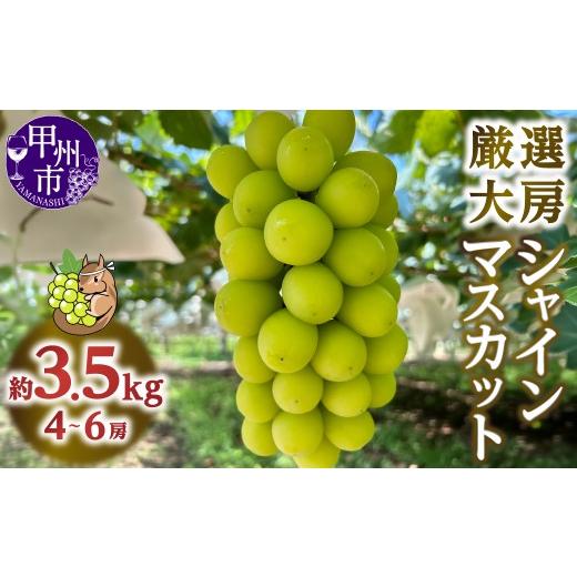 ふるさと納税 ぶどう マスカット 山梨県 甲州市 厳選大房シャインマスカット 4〜6房 約3.5kg 2026年発送 (SSE)C2-1840-2 シャインマスカット 葡萄 ぶどう ブ…