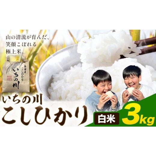 ふるさと納税 米 コシヒカリ 千葉県 勝浦市 米 こめ コメ 令和7年産 いちの川 コシヒカリ 白米 3kg 市野川米製作所 [30日以内に出荷予定(土日祝除く)]米 ご…