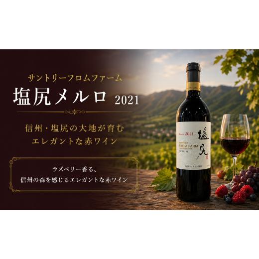 ふるさと納税 ワイン 赤ワイン 長野県 塩尻市 チョイス限定 サントリーフロムファーム 塩尻メルロ 2021 銅賞受賞ワイン | ワイン わいん チョイス限定 赤ワ…