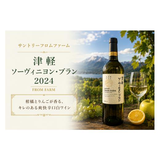 ふるさと納税 ワイン 白ワイン 長野県 塩尻市 チョイス限定 サントリーフロムファーム 津軽 ソーヴィニヨン・ブラン 2024 銅賞受賞ワイン | ワイン わいん …