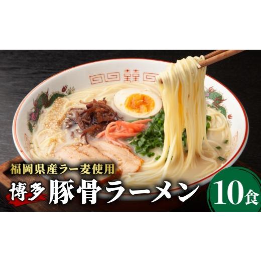 ふるさと納税 ラーメン とんこつ 福岡県 那珂川市 化粧箱入り 福岡県産ラー麦100%使用 博多グルメ代表とんこつラーメン(10食分) 10食分