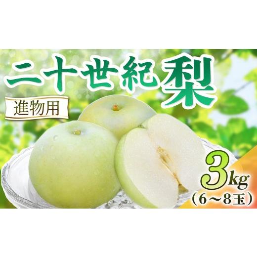 ふるさと納税 梨 鳥取県 倉吉市 二十世紀梨 進物 3kg(岸田秀果園) 鳥取 梨 果物 フルーツ 和梨 二十世紀梨 20世紀梨 人気 甘い 進物 贈答用