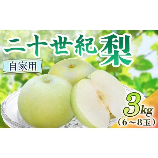 ふるさと納税 梨 鳥取県 倉吉市 二十世紀梨 自家用 3kg(岸田秀果園) 鳥取 梨 果物 フルーツ 和梨 二十世紀梨 20世紀梨 人気 甘い 自家用 産地直送