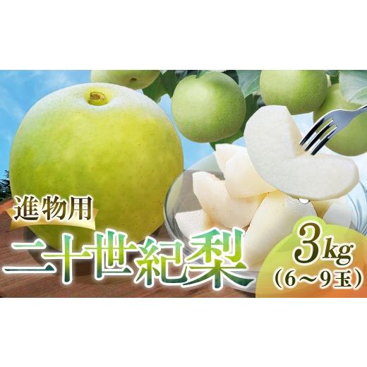 ふるさと納税 梨 鳥取県 倉吉市 二十世紀梨 進物 3kg(三ツ田農園) 鳥取 梨 果物 フルーツ 和梨 二十世紀梨 20世紀梨 人気 甘い 進物 贈答用 赤秀