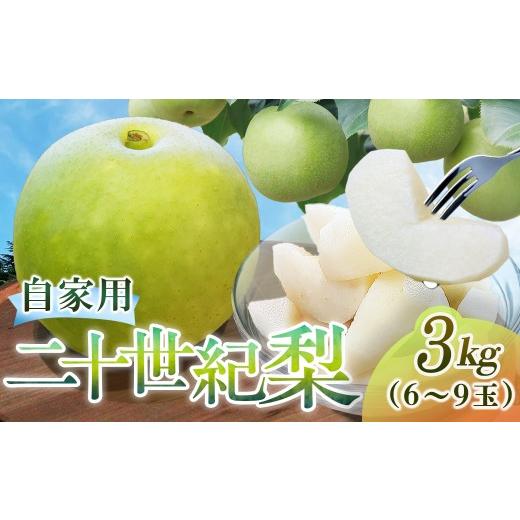ふるさと納税 梨 鳥取県 倉吉市 二十世紀梨 自家用 3kg(三ツ田農園) 鳥取 梨 果物 フルーツ 和梨 二十世紀梨 20世紀梨 人気 甘い 家庭用