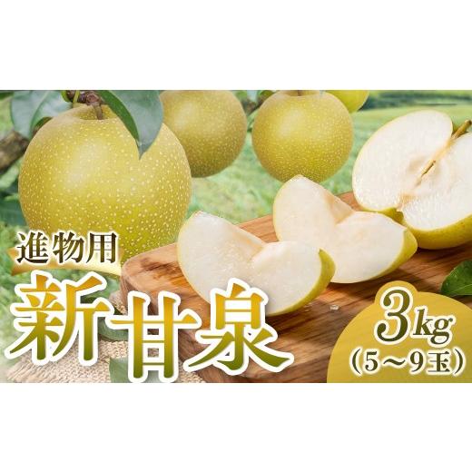 ふるさと納税 梨 鳥取県 倉吉市 新甘泉 進物 3kg(三ツ田農園) 鳥取 梨 果物 フルーツ 和梨 新甘泉 しんかんせん 人気 甘い 進物 贈答用 赤秀