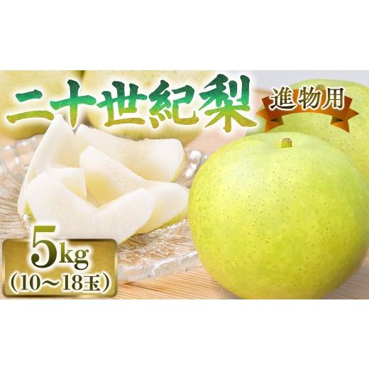 ふるさと納税 梨 鳥取県 倉吉市 二十世紀梨 進物 5kg(有梨の実 石田) 鳥取 梨 果物 フルーツ 和梨 二十世紀梨 20世紀梨 人気 甘い 進物 贈答用 赤秀