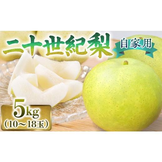 ふるさと納税 梨 鳥取県 倉吉市 二十世紀梨 自家用 5kg(有梨の実 石田) 鳥取 梨 果物 フルーツ 和梨 二十世紀梨 20世紀梨 人気 甘い 進物 家庭用
