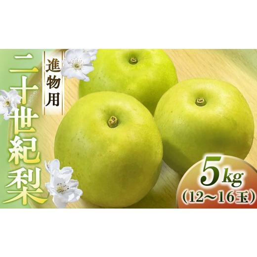 ふるさと納税 梨 鳥取県 倉吉市 二十世紀梨 進物 5kg(中村農園) 鳥取 梨 果物 フルーツ 和梨 二十世紀梨 20世紀梨 人気 甘い 進物 贈答用