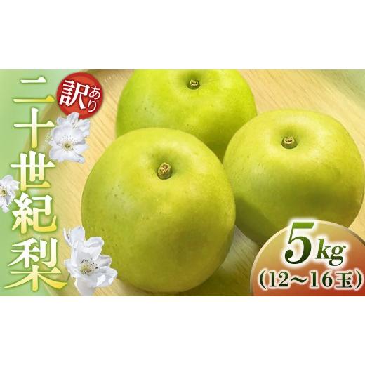 ふるさと納税 梨 鳥取県 倉吉市 二十世紀梨 訳あり 5kg(中村農園) 鳥取 梨 果物 フルーツ 和梨 二十世紀梨 20世紀梨 人気 甘い 自家用