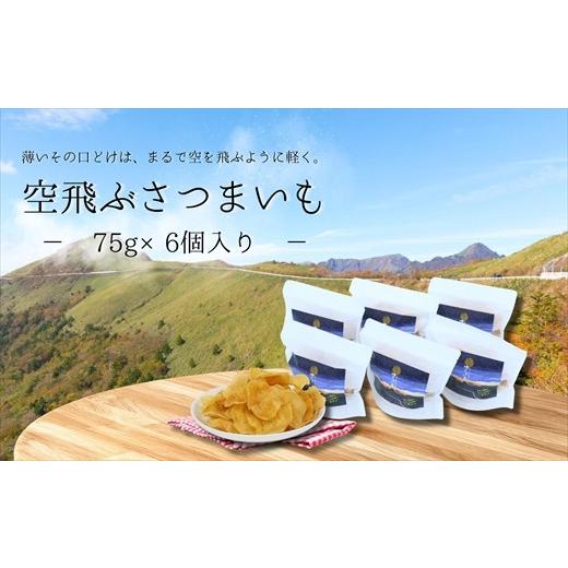 ふるさと納税 和菓子 和菓子セット・詰め合わせ 高知県 いの町 空飛ぶさつまいも6袋セット(利休)