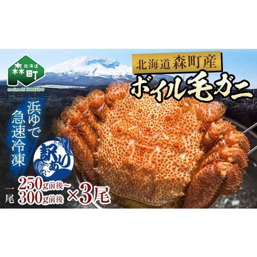 ふるさと納税 カニ 毛ガニ 北海道 森町 訳あり 北海道・噴火湾産冷凍ボイル毛ガニ約250g前後〜約300g前後×3尾 毛ガニ 毛カニ 蟹 かに かにみそ 海産物 海鮮 …