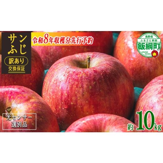 ふるさと納税 りんご 長野県 飯綱町 感謝りんご / 光センサー選別品 りんご サンふじ 訳あり 10kg ( 24玉 〜 50玉 ) 交換保証 ながの農業協同組合 2026年1…