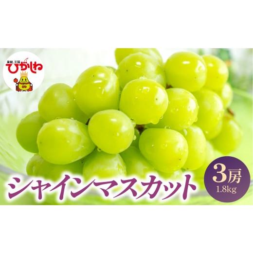ふるさと納税 ぶどう マスカット 山形県 東根市 2026年産 シャインマスカット 3房 1.8kg (1房約600g) 山形県 東根市 JA提供 hi001-052