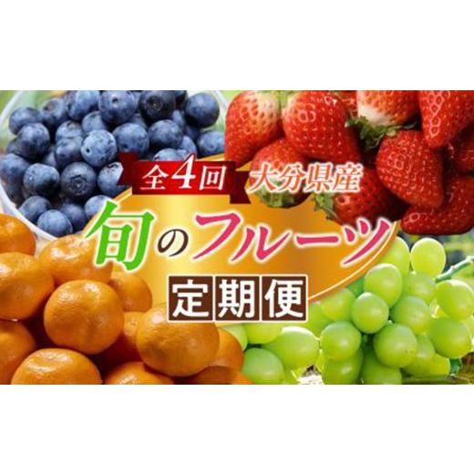 ふるさと納税 果物の詰合せ 大分県 杵築市 定期便 大分県産 旬のフルーツ定期便 (全4回・総量9kg) ブルーベリー シャインマスカット 温州みかん いちご 果物 …