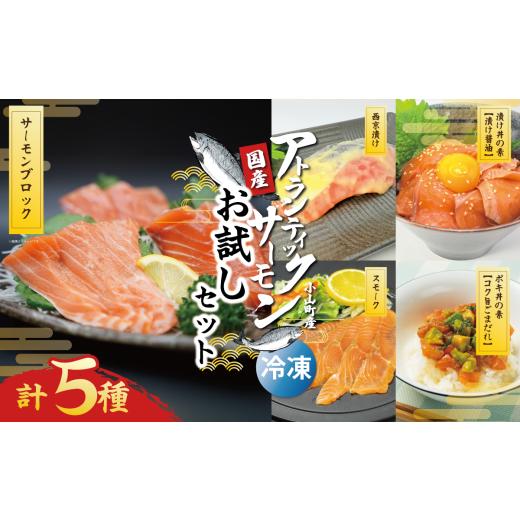 ふるさと納税 魚貝類 サーモン 静岡県 小山町 小山町産アトランティックサーモン(冷凍)お試しセット(サーモンブロック有り) | サーモン 小分け 真空パック…
