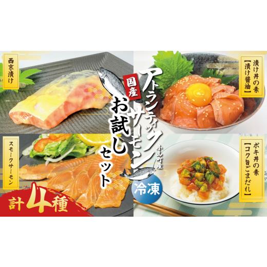 ふるさと納税 魚貝類 サーモン 静岡県 小山町 小山町産アトランティックサーモン(冷凍)お試しセット(サーモンブロック無し) | サーモン 小分け 真空パック…