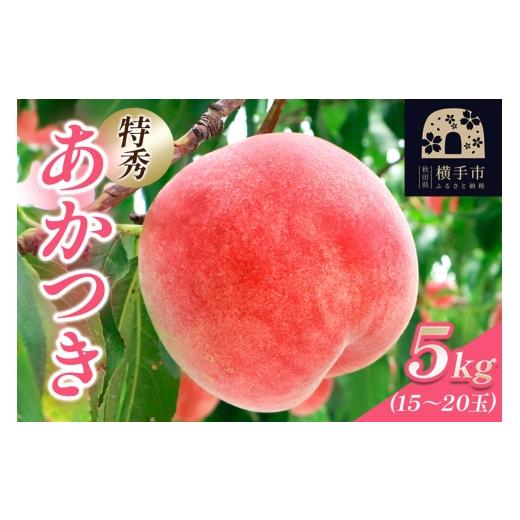 ふるさと納税 もも 秋田県 横手市 秋田県横手市産 白桃 約5kg(あかつき)特秀 15〜20玉 桃 もも モモ 白桃 はくとう 果物 フルーツ 産地直送 お取り寄せ