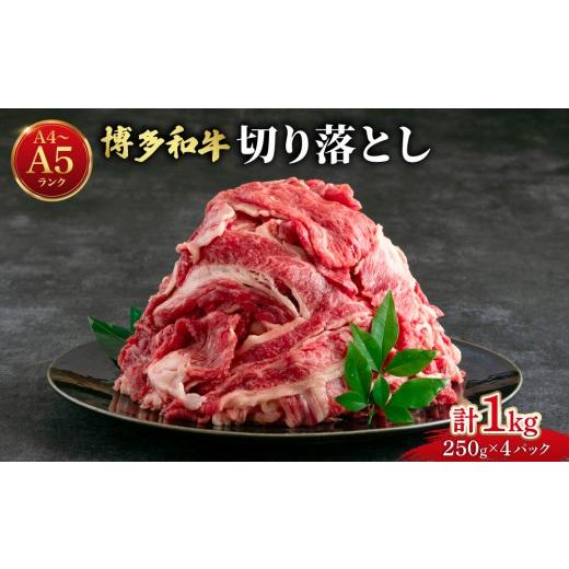 ふるさと納税 牛肉 福岡県 那珂川市 大容量 博多和牛 牛肉 切り落とし 1kg(250g×4袋) 通常配送