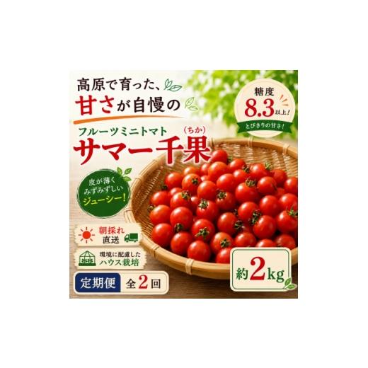 ふるさと納税 トマト ミニトマト 長野県 茅野市 毎月定期便 蓼科野菜 八ヶ岳産高原育ちのフルーツミニトマト 約2kg 全2回 4088598