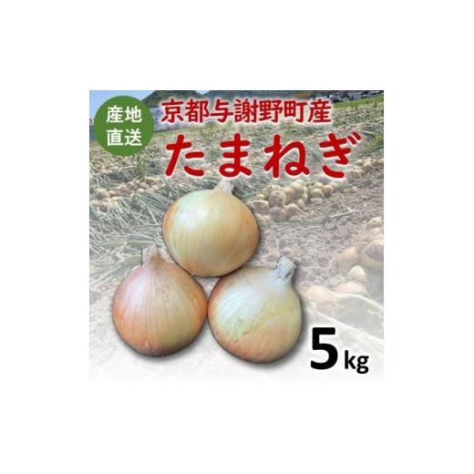 ふるさと納税 野菜類 玉ねぎ 京都府 与謝野町 期間限定 玉ねぎ 約5kg 京都与謝野町のこだわり栽培たまねぎ AGRIST 1754648