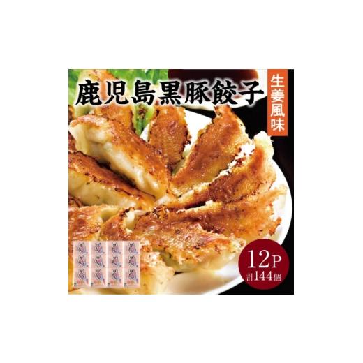 ふるさと納税 餃子 鹿児島県 南九州市 鹿児島黒豚餃子生姜風味12P(計144個) 1728768