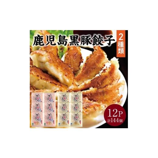 ふるさと納税 餃子 鹿児島県 南九州市 鹿児島黒豚餃子2種類12P(計144個) 1728770