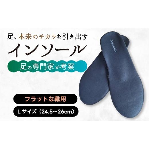 ふるさと納税 ファッション 靴 広島県 三原市 スニーカー用インソール(L)スニーカー 靴 中敷き 土踏まず 外反母趾 偏平足 腰痛 膝痛 O脚 浮指 ウオノメ 男女…