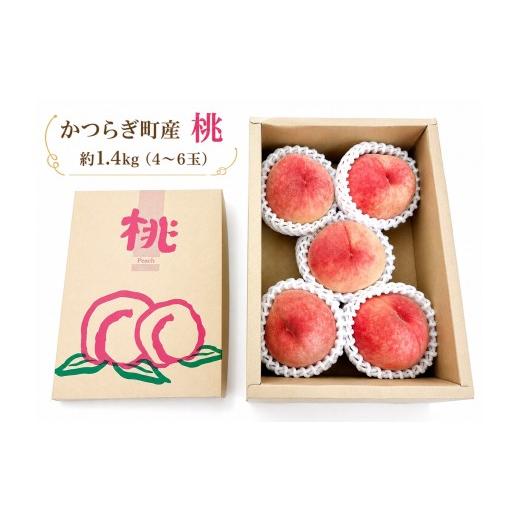 ふるさと納税 もも 和歌山県 かつらぎ町 かつらぎ町産桃 約1.4kg 2026年7月上旬〜2026年7月下旬順次発送 A-frks197