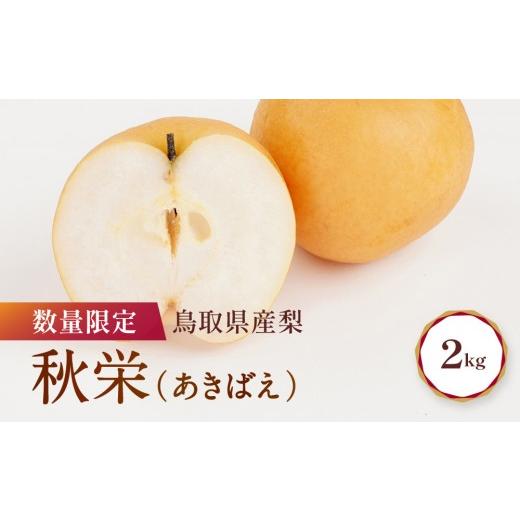 ふるさと納税 梨 鳥取県 琴浦町 先行予約 数量限定 鳥取県産梨 秋栄 約2kg 梨 秋栄 梨2kg 秋栄2kg 鳥取県産梨 国産梨 梨先行予約 先行予約梨 新鮮 旬 フルー…