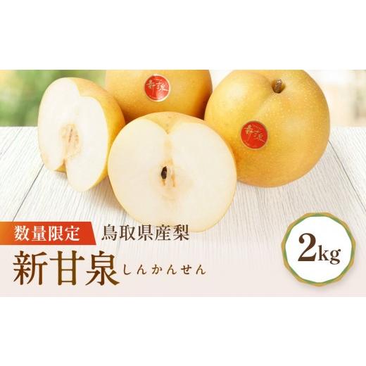 ふるさと納税 梨 鳥取県 琴浦町 先行予約 数量限定 鳥取県産梨 新甘泉 約2kg 梨 梨2kg 新甘泉2kg 鳥取県産梨 国産梨新甘泉 鳥取 先行予約 梨先行予約 新鮮 旬…