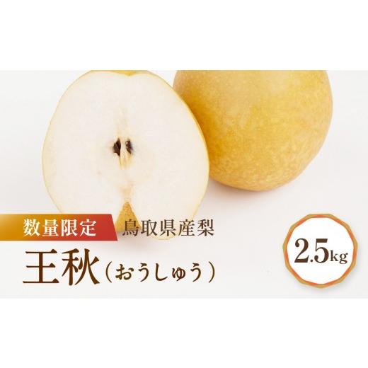 ふるさと納税 梨 鳥取県 琴浦町 先行予約 数量限定 鳥取県産梨 王秋 約2.5kg 梨 王秋 国産梨 国産王秋 鳥取 鳥取県産梨 梨鳥取 先行予約 梨先行予約 新鮮 旬…