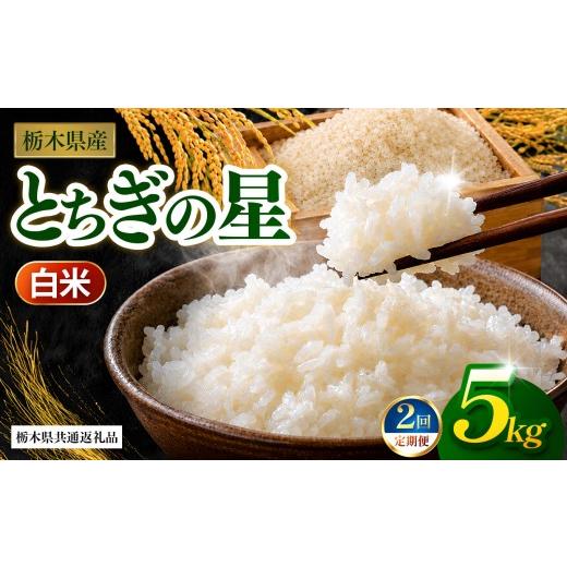 ふるさと納税 米 コシヒカリ 栃木県 那珂川町 先行予約 栃木県共通返礼品 定期2回 とちぎの星(白米)約 5kg |とちぎの星 米 白米 おいしい お米 こめ おこ…