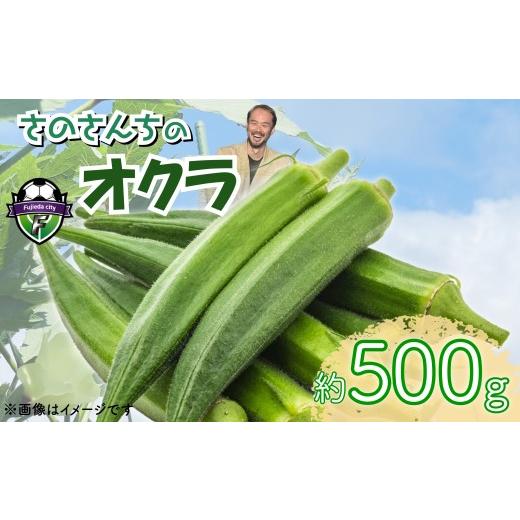 ふるさと納税 野菜類 静岡県 藤枝市 オクラ 500g おくら 野菜 生オクラ やさい さのさんち JGAP認証農場 国産 調理 旬 夏 肉巻き 天ぷら 静岡県 藤枝市