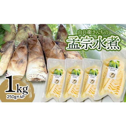 ふるさと納税 野菜類 山菜 山形県 鶴岡市 由兵衛さんちの孟宗水煮 1kg (固形物250g×4個) 野菜みらい計画 | 孟宗 たけのこ 水煮 下処理不要 手軽 レトルト や…