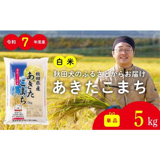 ふるさと納税 米 あきたこまち 秋田県 大館市 令和7年産秋田県産あきたこまち(白米)5kg / 米 白米 5kg 令和7年産 秋田県産 あきたこまち 5kg×1袋 おにぎり …
