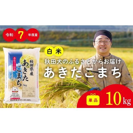 ふるさと納税 米 あきたこまち 秋田県 大館市 令和7年産秋田県産あきたこまち(白米)10kg / 米 白米 10kg 令和7年産 秋田県産 あきたこまち 5kg×2袋 おにぎ…