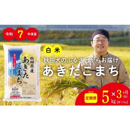 ふるさと納税 米 あきたこまち 秋田県 大館市 定期便3ヶ月 秋田県産あきたこまち(白米)5kg / 米 白米 5kg 令和7年産 秋田県産 あきたこまち 5kg×1袋 おに…
