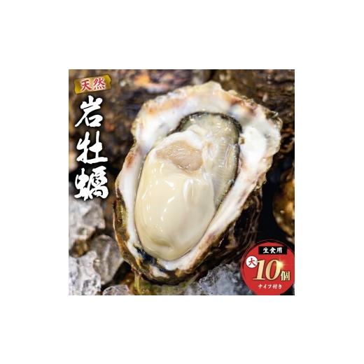 ふるさと納税 牡蠣 生牡蠣 秋田県 にかほ市 生食用 殻付き 象潟産 天然 岩牡蠣 10個 約3kg 相当 約300〜400g/個 直径10cm 岩ガキ 冷蔵 濃厚 プリプリ 新鮮 殻…