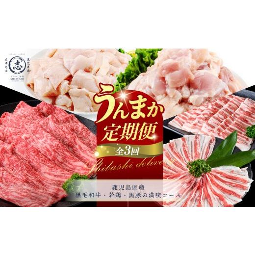ふるさと納税 牛肉 モモ 鹿児島県 志布志市 定期便全3回 鹿児島県産 黒毛和牛・若鶏・黒豚の満喫コース 志布志うんまか定期便 牛肉 赤身 モモ ウデ 豚肉 肉 …