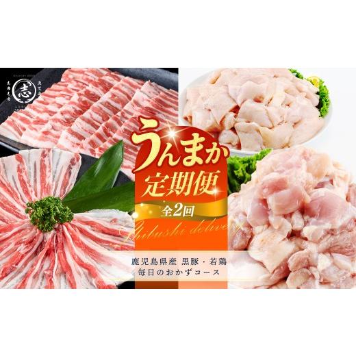 ふるさと納税 豚肉 バラ 鹿児島県 志布志市 定期便全2回 鹿児島県産 黒豚・若鶏 毎日のおかずコース 志布志うんまか定期便 国産 豚肉 肉 黒豚 バラ バラ肉 ス…